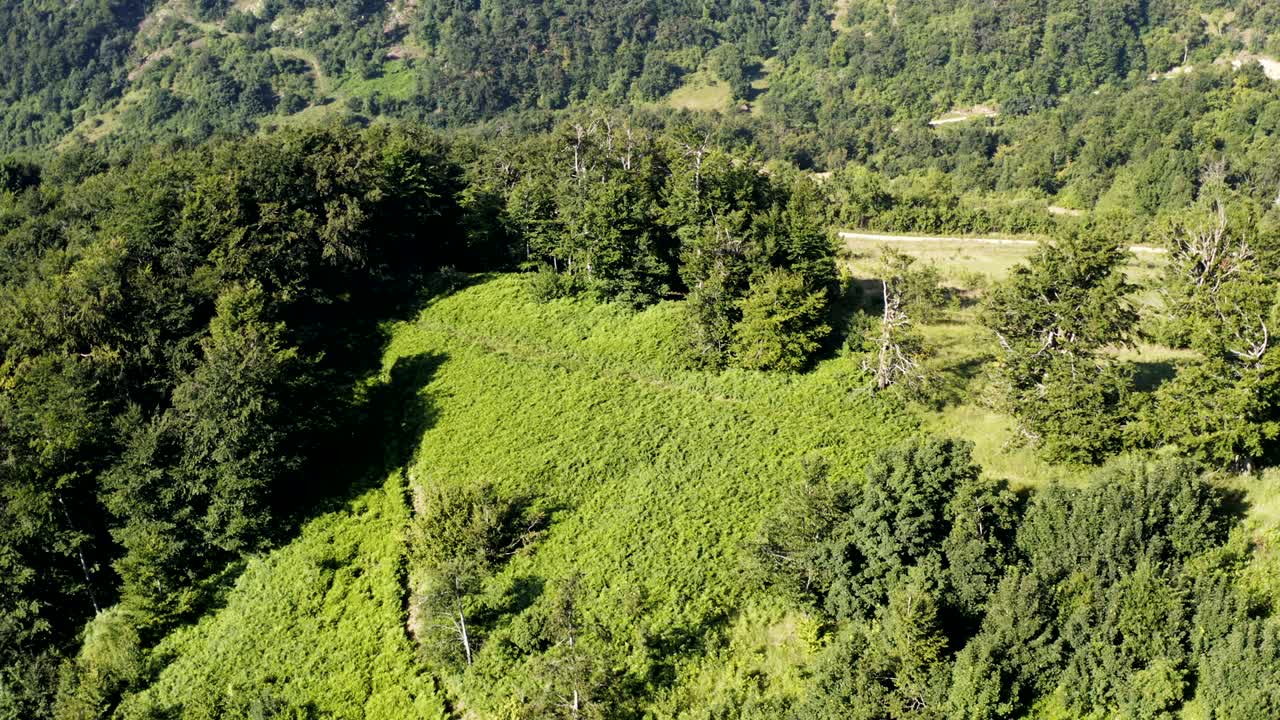 vuelo sobre un campo en el borde de la montaña