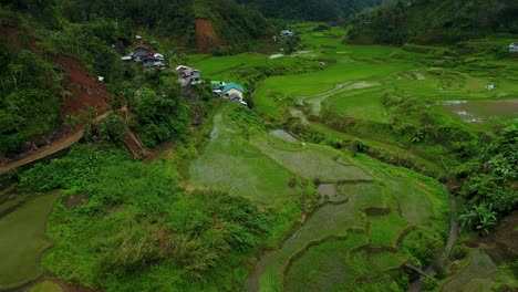 Granja-Filipina-Aldea-De-Arrozales-Sobre-La-Cabeza-Disparo-De-Drones