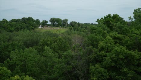 Deep-depth-of-view-focusing-on-road-in-the-top-left-sector-of-the-shot