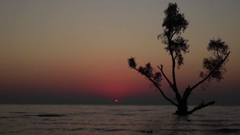 Hermoso-Lapso-De-Tiempo-Al-Atardecer-De-La-Playa-Del-Mar-Guliakhali-Con-Una-Hermosa-Puesta-De-Sol-En-El-Horizonte-Y-Un-Hermoso-árbol-Contra-La-Luz