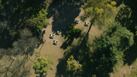 AERIAL---Benches-and-trees,-Centenario-Park,-Buenos-Aires,-Argentina,-lowering-shot