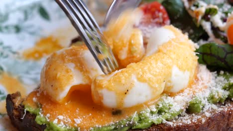 poached egg avocado toast