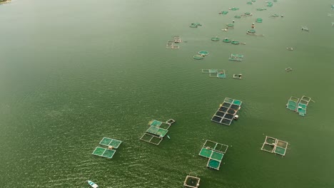 fish farm on the lake taal, philippines