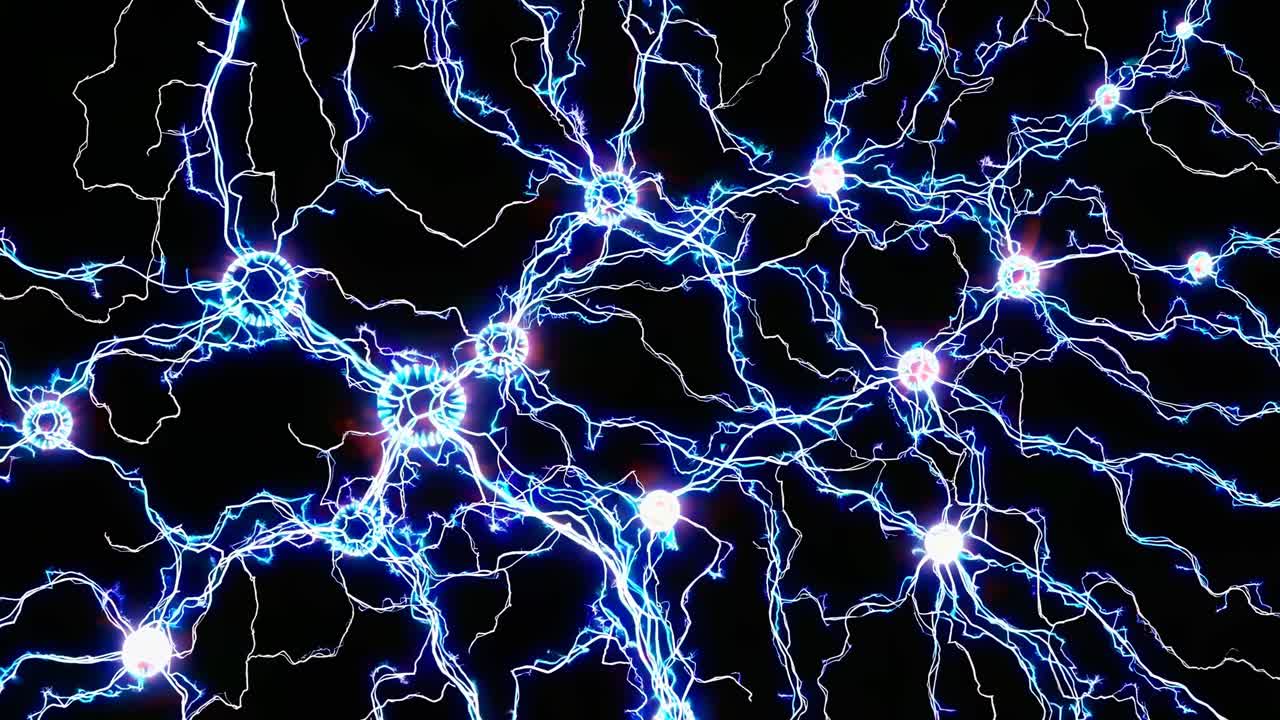 Neural Network Activity Visualization