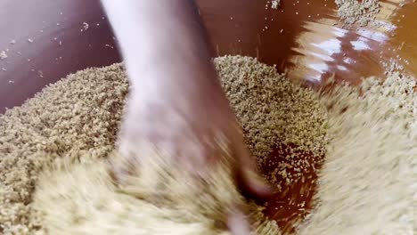 hands close up chef making cous cous traditional north african dish from semolina durum wheat