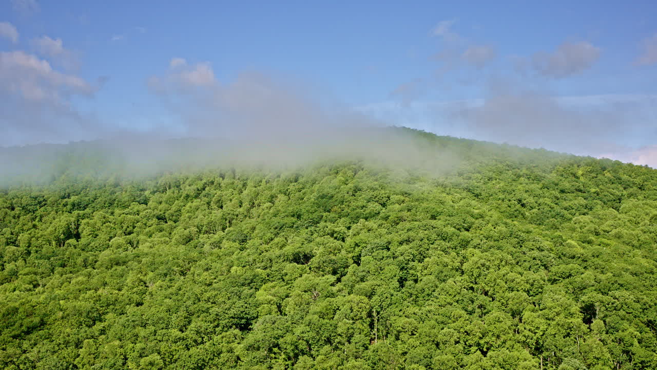 Scenic drone footage of the Smoky Mountains draped in morning fog