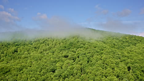 scenic drone footage of the smoky mountains draped in morning fog