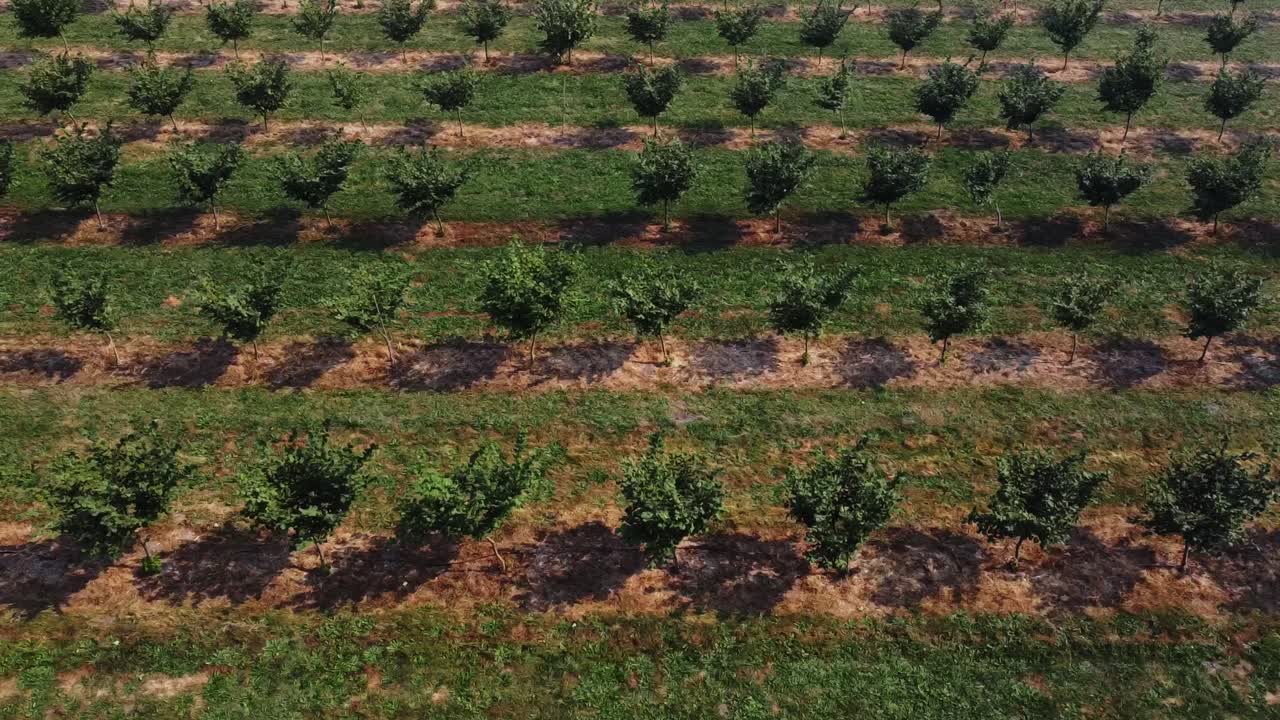 imágenes de drones de una granja en canada
