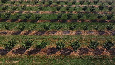 Imágenes-De-Drones-De-Una-Granja-En-Canadá