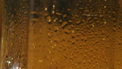 camera following bubbles ascend to the surface of the beer