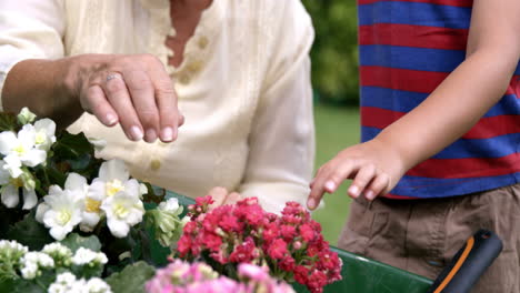 Großmutter-Und-Kind-Im-Garten