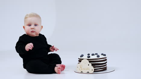 cute plump blond baby wearing black suit sits on the floor near the cake. adorable child leans to the dessert. white backdrop.