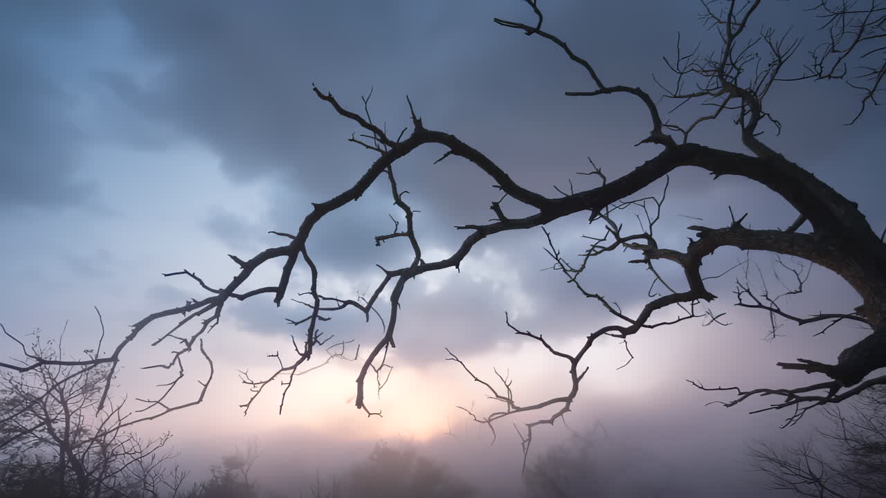 Creepy tree branches sway gently as fog drifts slowly through the forest. Twilight lighting adds a moody, eerie atmosphere. Ideal for Halloween or horror themes.
