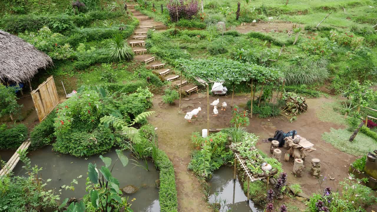 연못을 따라 작은 길이 있는 농장의 조용하고 고요하며 조화로운 뒷마당에 대한 개요
