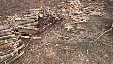 Industrial-felling-site-with-different-tree-logs-stacked,-and-firewood-sorted-in-heaps-on-a-ground---drone-dolly