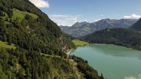 majestuosos picos, aguas cristalinas: vista aérea de bosques verdes y montañas a orillas del lago