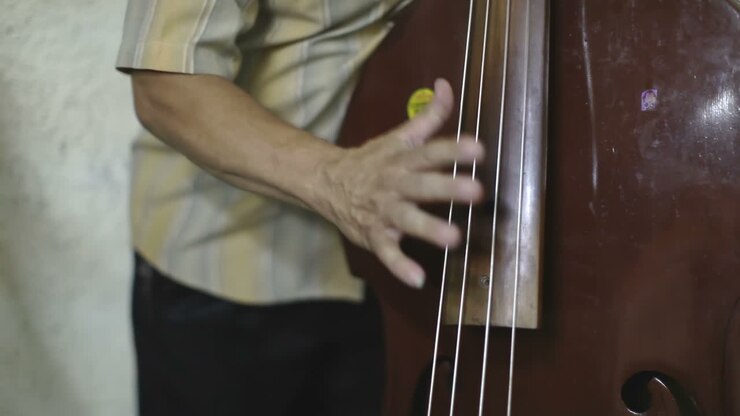 Eco Caribe Performance 04