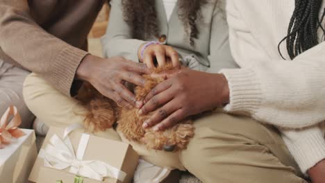 happy african-american family petting dog at christmas