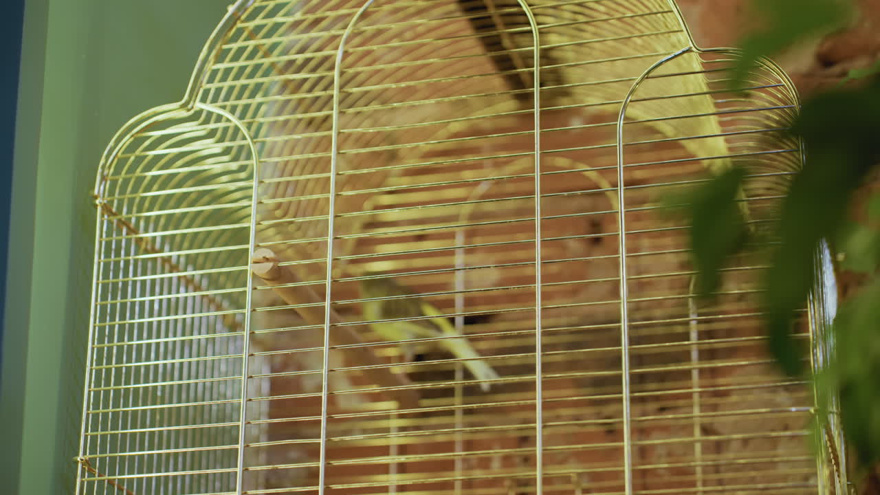 Small bird rests on perch inside white metal cage placed against warm brick wall, next to green indoor plant with soft ambient lighting casting natural tones across textured surfaces