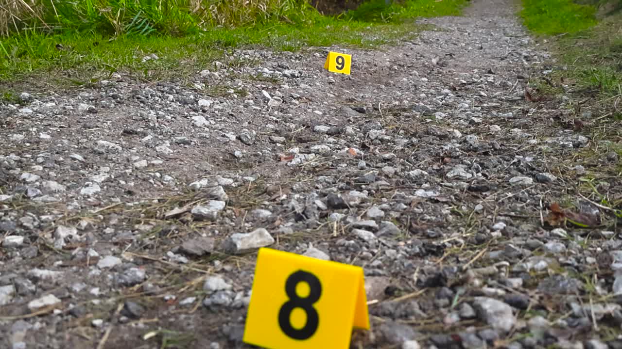 L'angolazione dal basso verso l'alto rivela marcatori gialli di scena del crimine su una strada sterrata che attraversa una tranquilla area naturale di campagna, un sentiero isolato con erba verde. Raccolta di prove e scena delle indagini in una giornata estiva