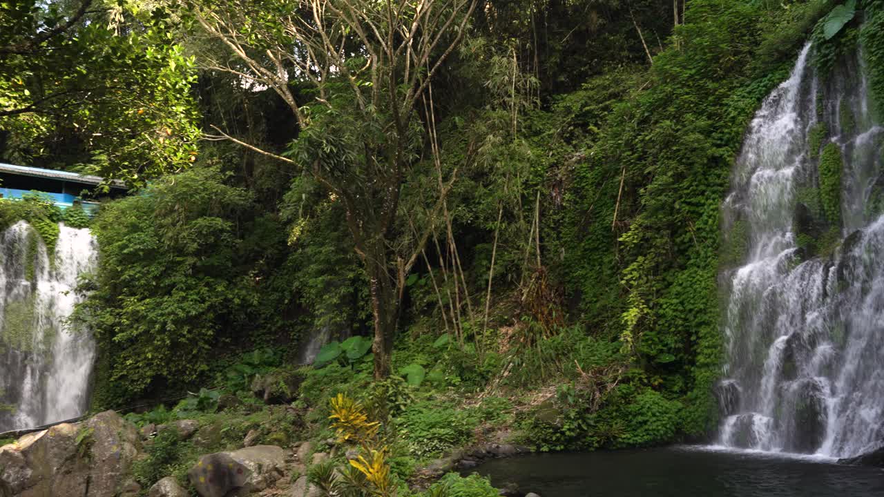 Lussureggiante foresta tropicale circonda due cascate gemelle che si gettano in una piscina rocciosa, scena diurna
