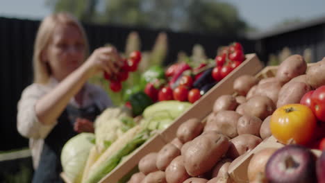 A-woman-lays-out-vegetables-on-the-counter,-trading-at-the-farmer's-market.-In-the-foreground-is-a-box-of-potatoes