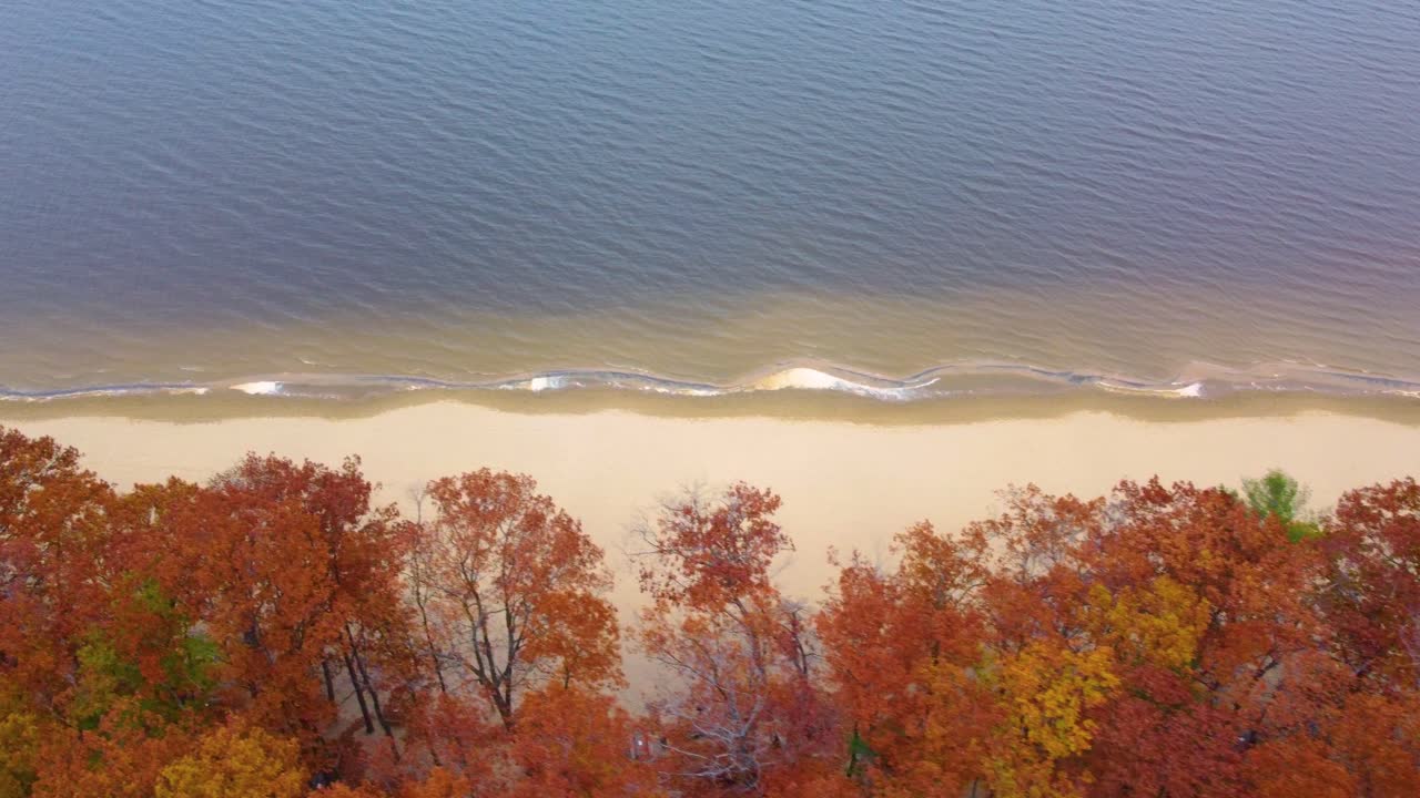 Sandy autumn forest coastline near lake water, aerial view