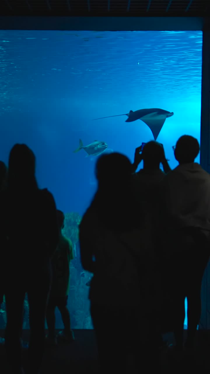 Visitors observing diverse marine life in a large aquarium