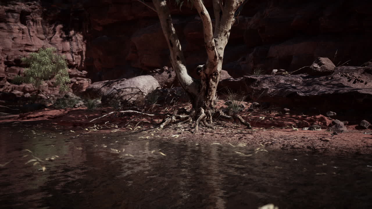 río grande entrando en el cañón de santa elena