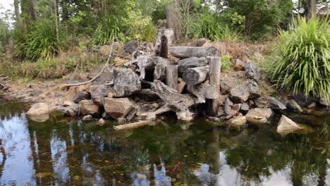 a serene pond reflecting changing surroundings.