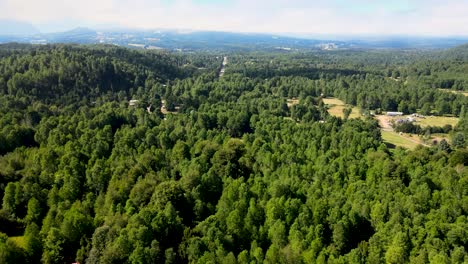 aerial pan left lowering on blue lagoon hidden between green dense woodland near eyes of caburgua, pucon, chile