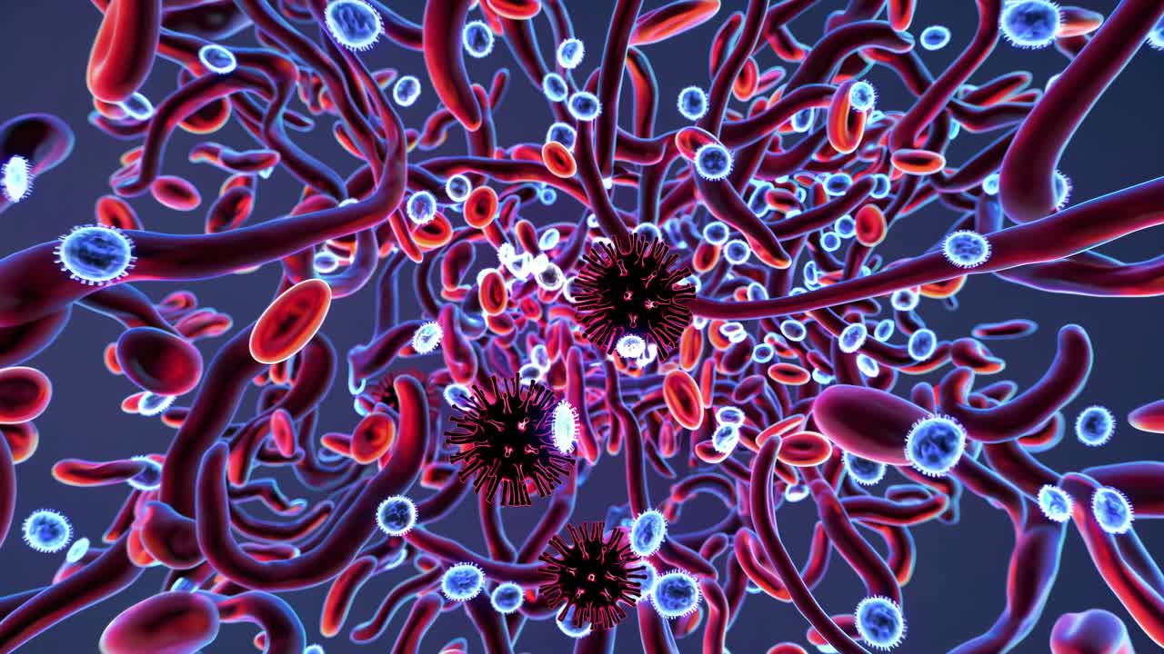 Concetto video dinamico di una visuale microscopica, che mostra un primo piano con un'angolazione elevata di rosso e blu