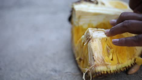 Hand-held-slow-motion-shot-of-an-Indonesian-man-cutting-into-a-Jack-fruit