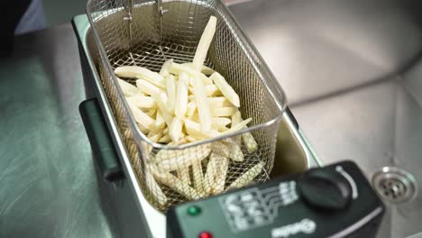 Cooking French Fries in a Deep Fryer