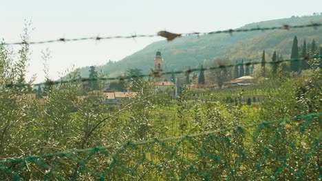 Kirche-Von-Quinto-Di-Valpantena-In-Der-Provinz-Verona-Italien