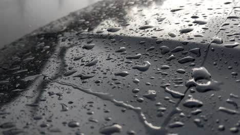 rain drops falling on the hood of a dark blue car with chrome trim, reflection if a street light and tree