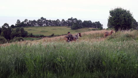 pastor con caballos pastando en el prado. escena de la granja