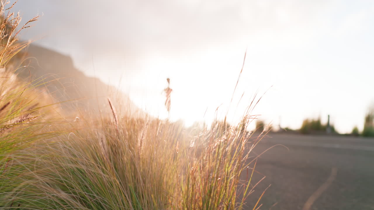 Running, fitness and woman on road with mountains
