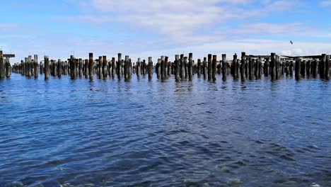 Wooden-Pilings-Stand-On-Blue-Sea-In-Pacific-Northwest,-USA