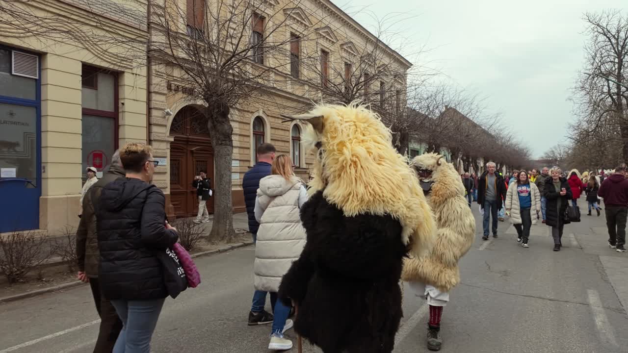 Scary Busós stroll down the main street of Mohacs in sheepskin coats and masks, frightening the festival visitors with clappers along the way in Hungary.