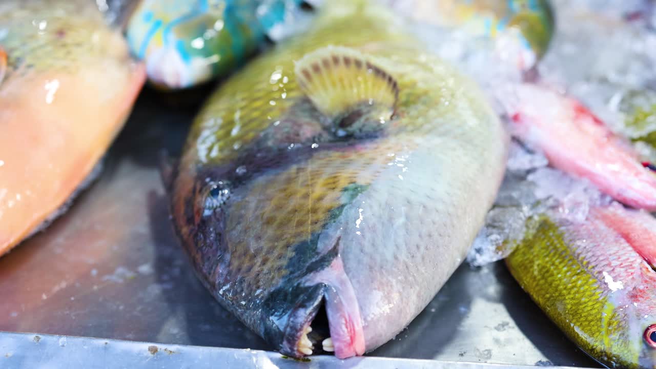 Vibrant parrot fish on ice at a bustling Phuket market. Bright lighting highlights the fish's vivid colors and textures