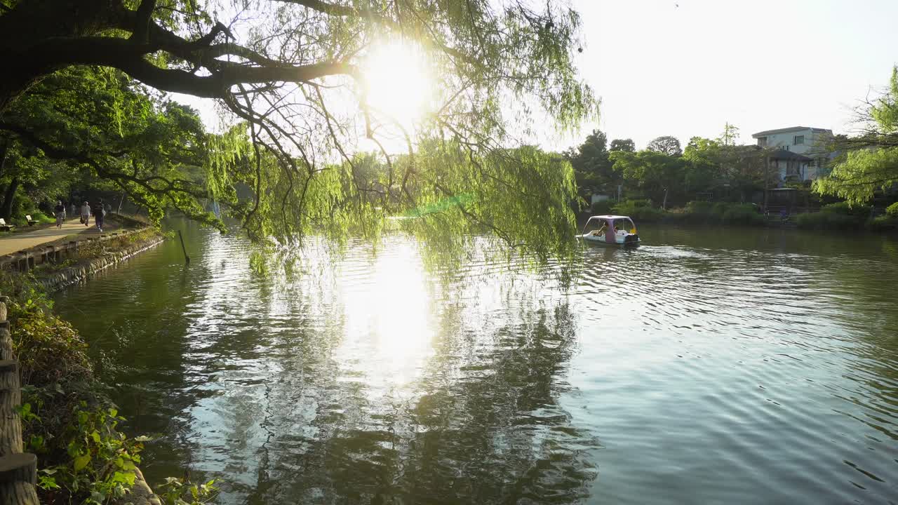 In the lakes of Tokyo's Shakujii Park you can rent boats for a family walk, at sunset in summer it is a very special moment because of the beautiful light and warm temperature.