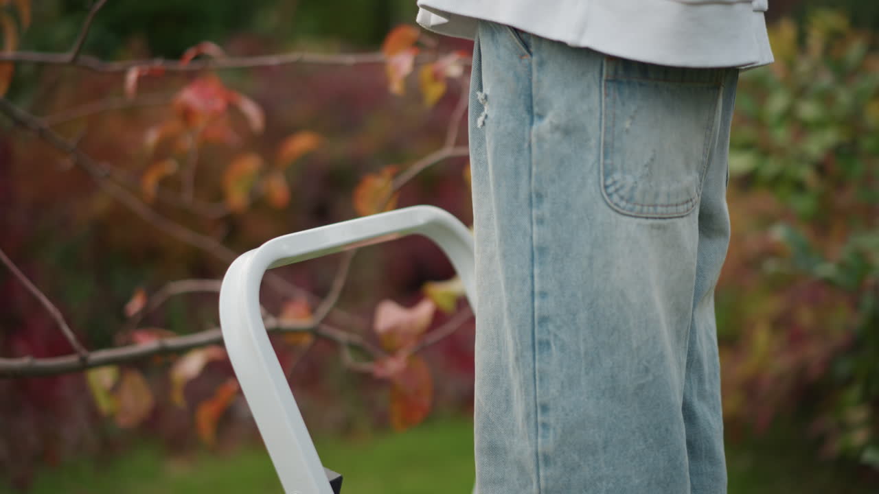 Closeup feet on ladder steps, fuzzy slippers on metal treads, denim cuffs and gentle reach, hands selecting fruit from branch, warm autumn leaves, careful home garden picking routine