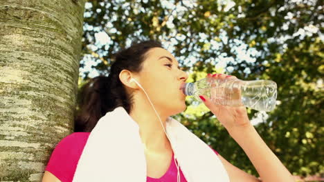 fit brunette drinking water after her jog in the park