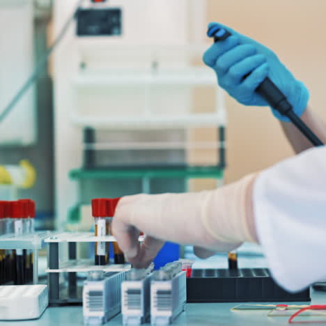 two nurses are working with test tubes in medical laboratory. scientists women in gloves fill the vials with liquid and put them into a rack on a sterile table.