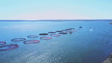 aerial view of fishing farming nets