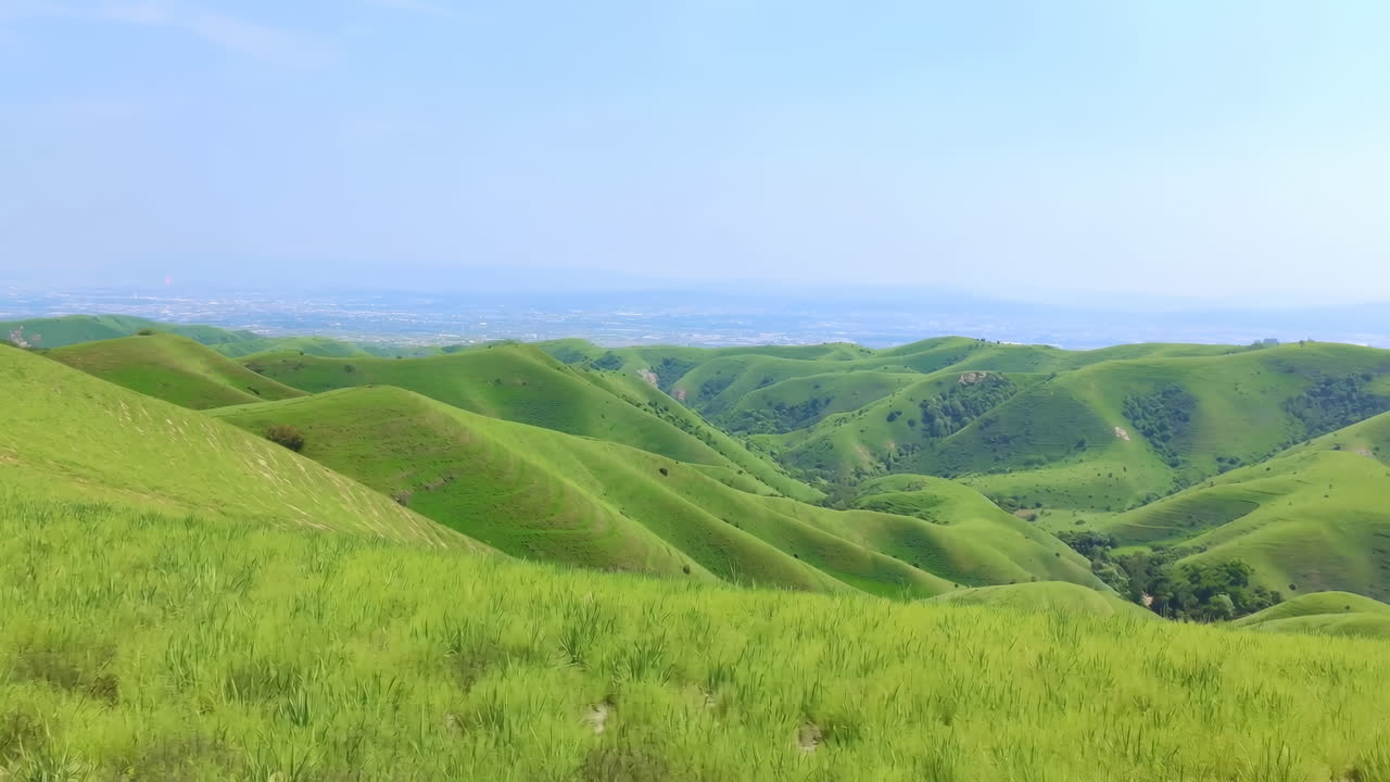 Paesaggio suggestivo di colline verdi ondulate e lussureggianti sotto un cielo limpido.