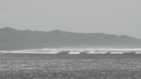 Low-angle-shot-of-whimbrels-flying-over-waves-breaking-on-the-shore-of-Canas-Island