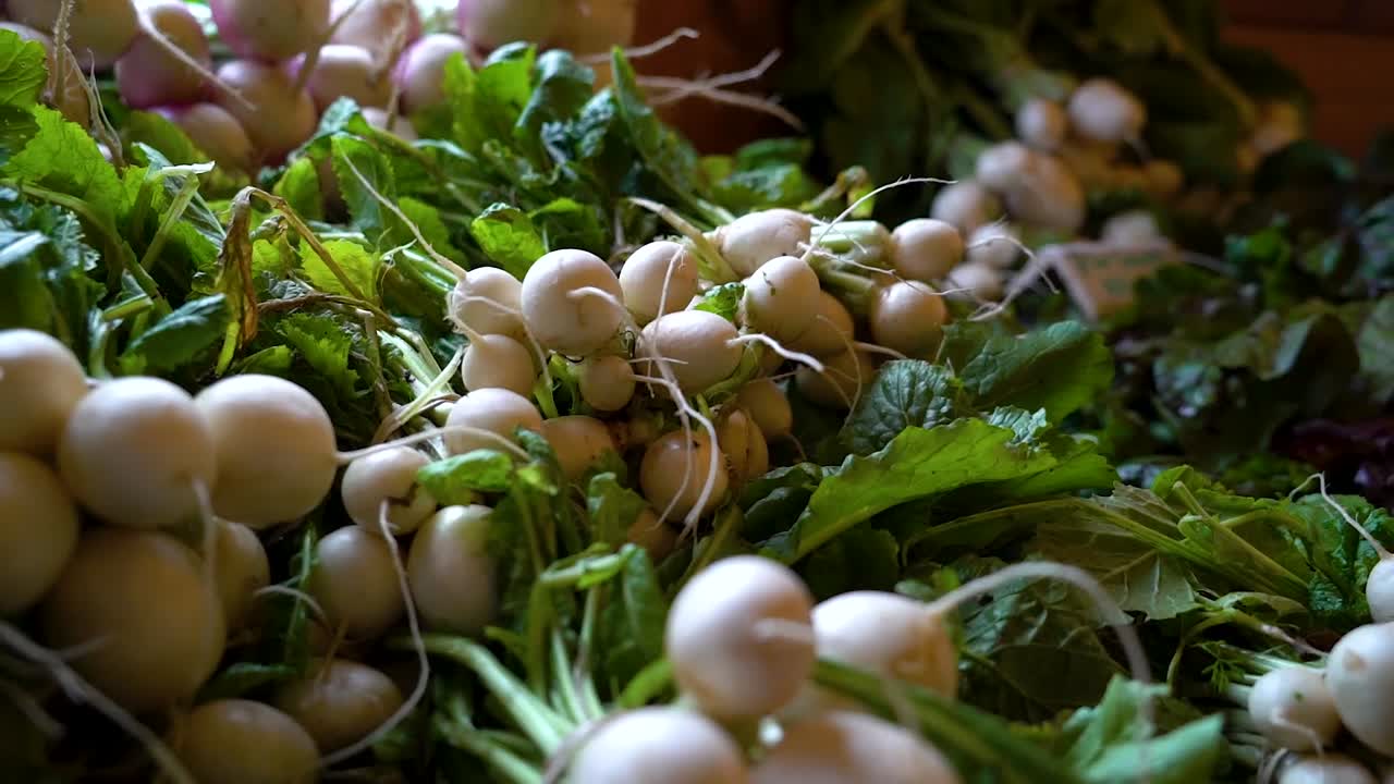 수확한 흰 무가 테이블에 앉아 있다