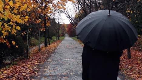 walking under rain autumn concept